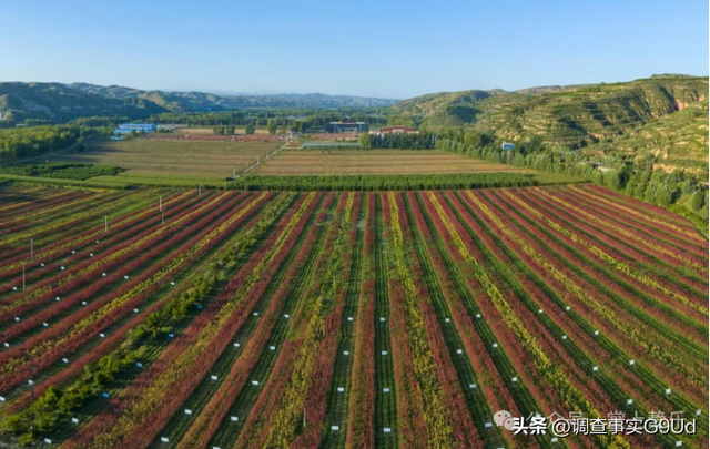 “山水有韵 静乐无界”静乐县亮相《300秒看家乡》