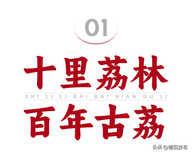 莆田北大村：畅玩五日嘉年华，畅享百年荔枝甜
