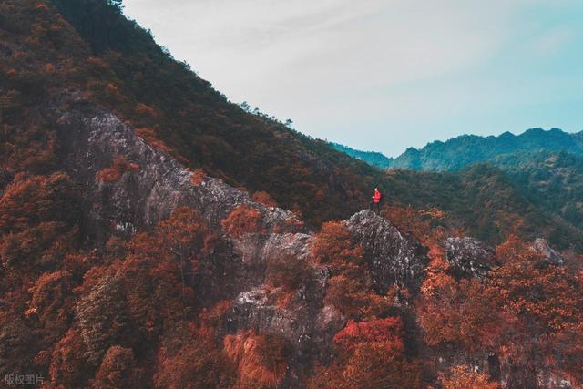 暮秋读山
