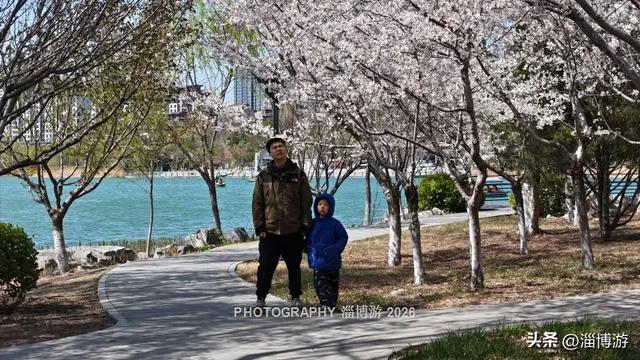 淄博13处春季免费赏花地｜邂逅满城繁花，承包你的春日浪漫