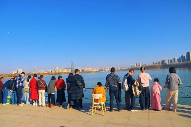 大年初四天鹅湖：人潮如海，鸥舞满湖，今年真的火了一座城