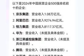 中国2024年前十大私营企业创始人或者董事长的国籍图片