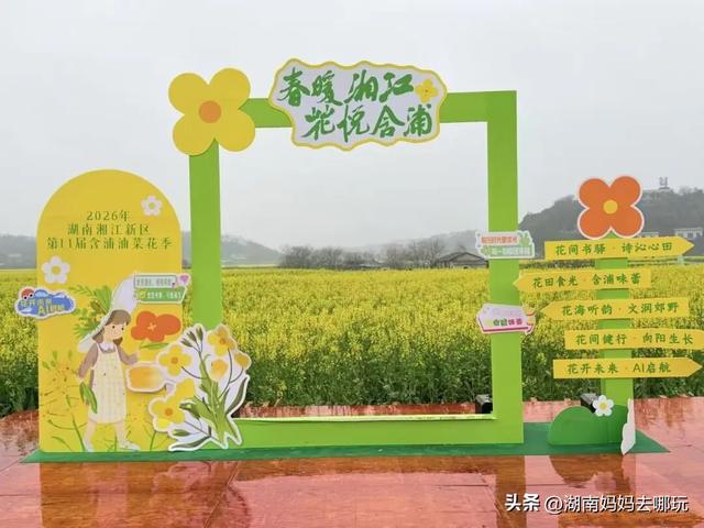 赏花、挖野菜、摘草莓，雨天避开人从众，就去长沙“小婺源”！