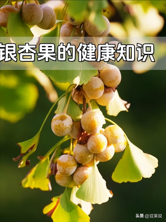 日本人靠它发财，美国人用它打仗，中国人却把它当毒药扔进垃圾桶