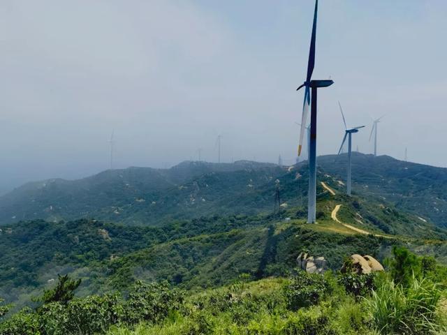 天中盆景！泌阳小黄山的奇石与原生态美景