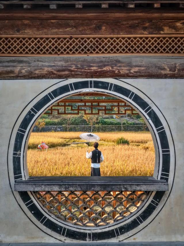 这个秋日，西递超好看的！| 皖美秋日