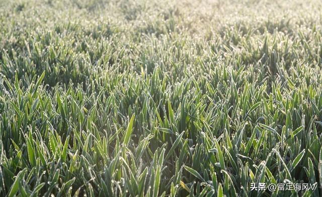 这不是迷信！老人说最怕“大雪是晴天	”，今日大雪，晴天有啥预兆