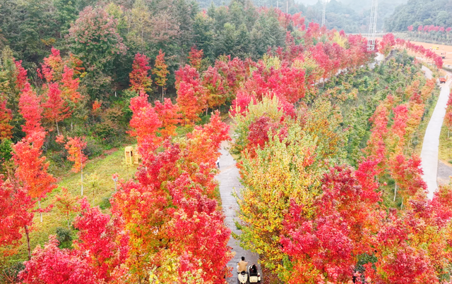 美如仙境！韶关这个地方迎来今年首场冰挂雾凇景观，秋冬来旅行，赏雪泡泉看红枫为你安排好了