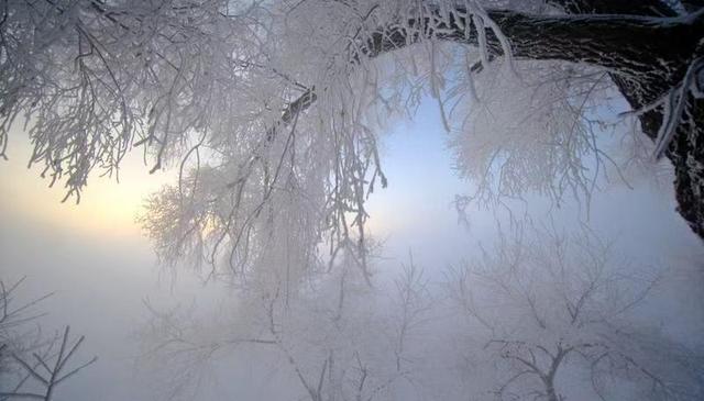 琼枝玉树映霞光，阿什雾凇岛现今冬“仙境”画卷