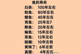 各种鱼的寿命，你知道吗？收藏起来看一看图片