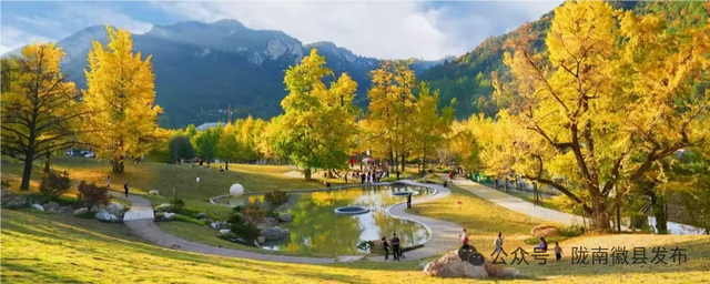 “老街遛弯儿+草莓炫腹” 双buff叠满 农文旅融合解锁嗨玩新姿势～