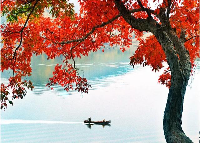 G334,一条藏着抗联魂、黄金史和林海趣的通道