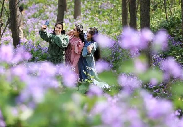 图游天下 发现中国| 春天，这边风景独好！