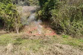 俗语“坟头有三象，子孙多富贵”，这三象是指啥？还有没有道理？图片