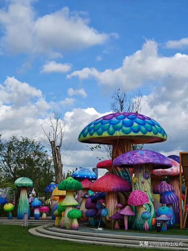 湖畔西山 清凉一夏 | 2025昆明“滇生菌物生活季”启幕，西山商文旅消费盛宴全面开启