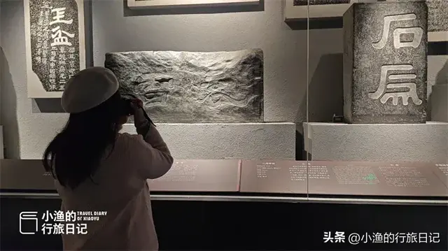 陕西这片“海”超浪漫！万千海鸥在此越冬，西安1小时直达！