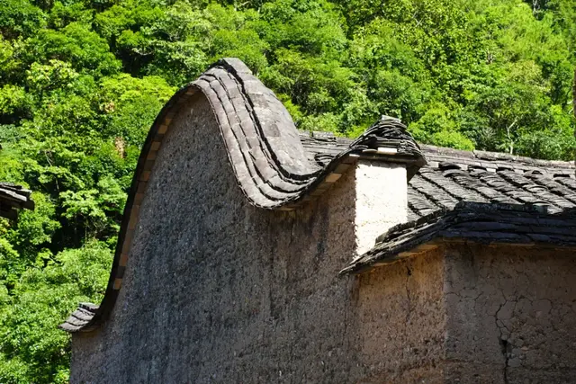 时光铺径常源：一步一景总关情