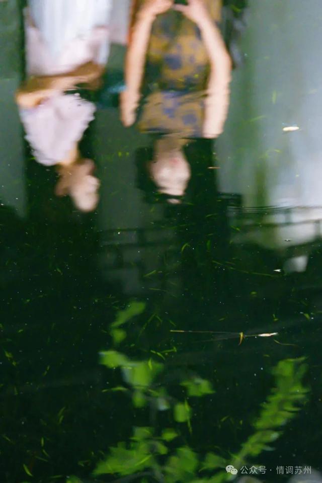 苏州拙政园的曲水里，藏着另一处天地