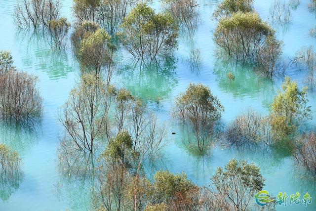 两江交汇碧波现