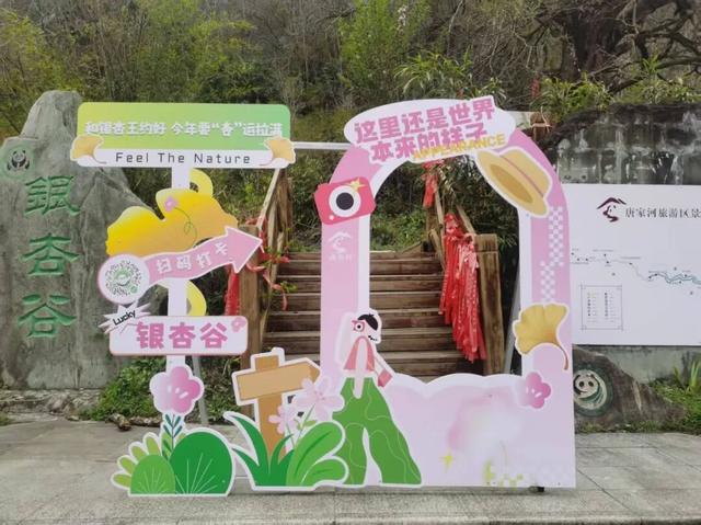 徒步阴平古道，艳遇紫荆繁花｜千年古道万亩紫荆待君来