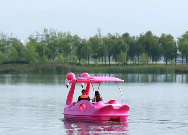 初冬限定!观鸟、彩叶、遛娃一站式,承包全家 “零负担” 快乐