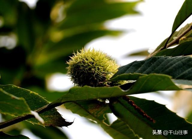 别等失去才懂珍惜！那段陪我骑行的时光，成了我余生不敢触碰的疤