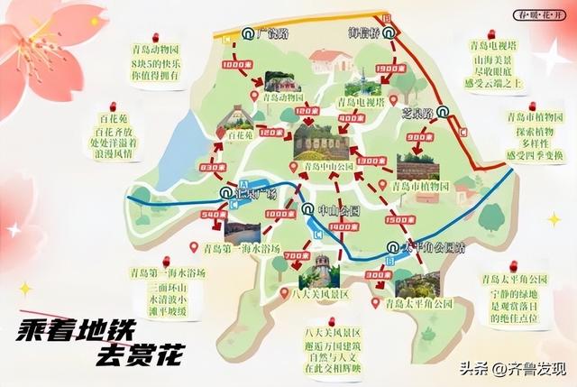 乘着地铁去赏花｜中山公园春日打卡攻略，还有隐藏赏花机位分享