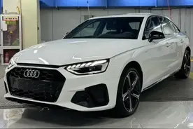 月入2万养奥迪A4L仍吃土？这届年轻人被"体面"榨干的真相图片