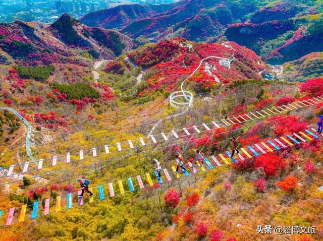 收藏!最美的11月游淄博,这些景区通通免费或优惠!