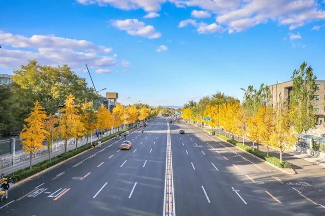 速来！海淀这份含“金”量超高的攻略请收好→