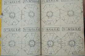 不管有钱没钱，这几种动物出现在家里，不要驱赶，说明好运要来了图片