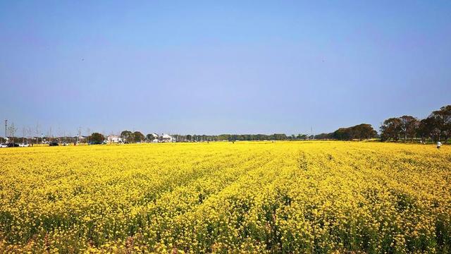 情感爆文：《懂得珍惜，才配拥有	，只有在乎，才能永久》