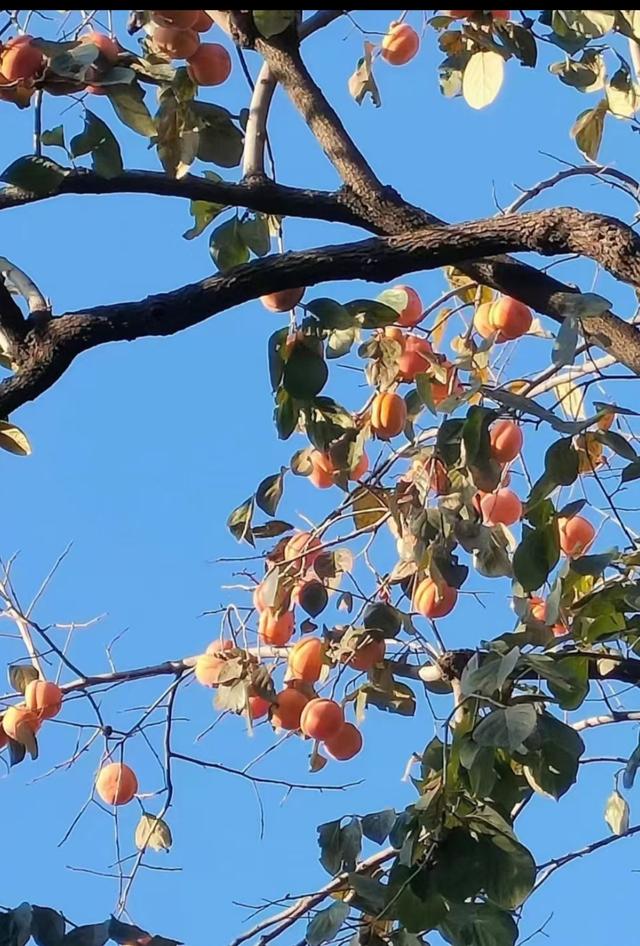 王林平随笔《人随景走景随人转》