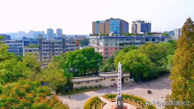 四川被成都光芒掩盖的宝藏城市，拥有4张响亮名片，你去过吗？