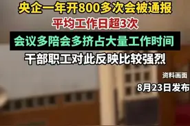 国企“会海”深似海，员工心声谁能懂？图片