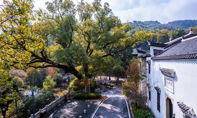 欢迎放秋假的同学们来醴陵秋游！