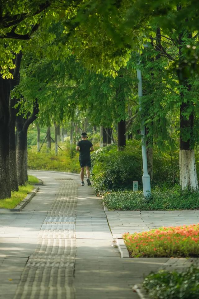 真没想到啊，太仓这些路竟然这么有来头！