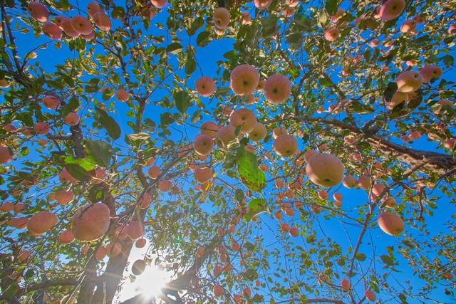 太全面了！8条游玩线路+京郊汤泉！带您玩转北京这里！（1）