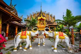 每天了解一个地区—西双版纳，中国热点旅游城市图片