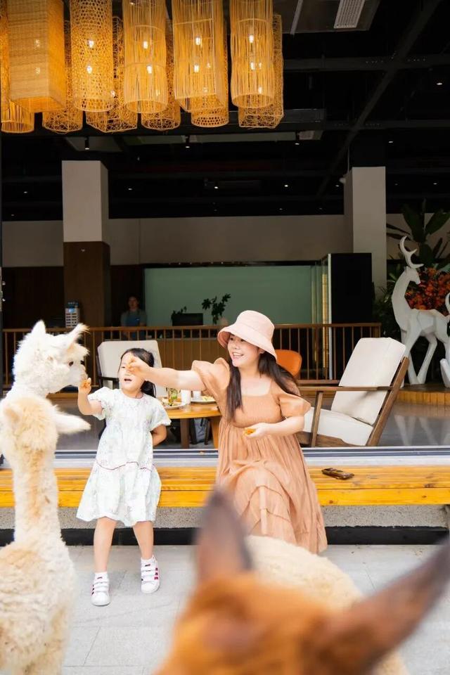 放春假啦，桐梓春日玩法上新，等你去解锁