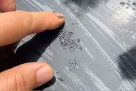 夏季停车最爱树荫下，树上分泌的液体会损伤车漆吗？图片