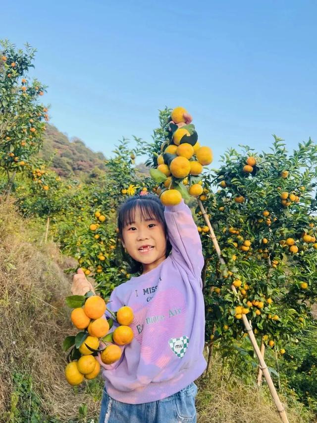 从化寻宝挖冬笋，摘砂糖橘任意吃，土窑烤披萨，DIY非遗竹节人！