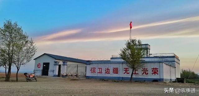 河套滩上的青春辙印——内蒙古兵团岁月里的知青记忆