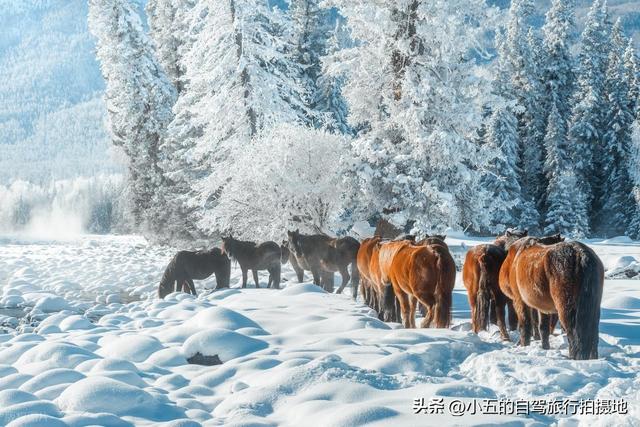 12 月旅行必藏！10 个人少景美目的地，承包冬天的极致风光