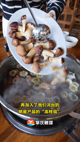 太美了！肇庆高要百亩菊花盛开