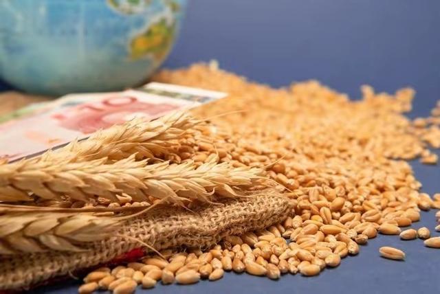 中俄的基本国情不同，俄罗斯可以关起门来过日子，但中国不行