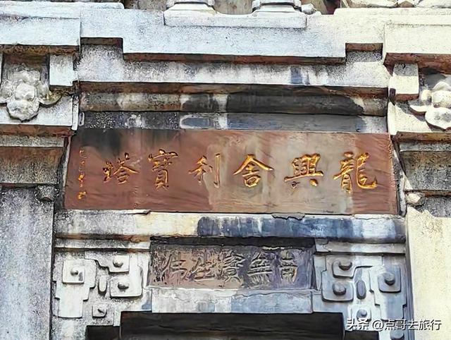 成都20000株牡丹惊艳盛放，华丽与黄墙相映，不愧是顶流赏花地！