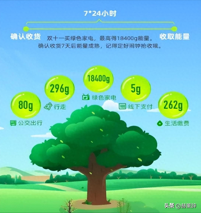 马云现身蚂蚁森林，大口吃西瓜，现场杂草丛生，跟2016年对比明显