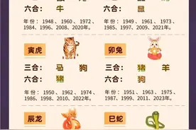 十二生肖三合六合，终于整理出来，图片