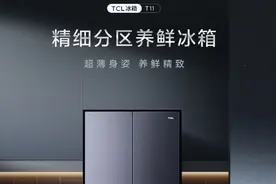 同样是大容量冰箱，海尔售价3399元，TCL售价1698元，如何选？图片